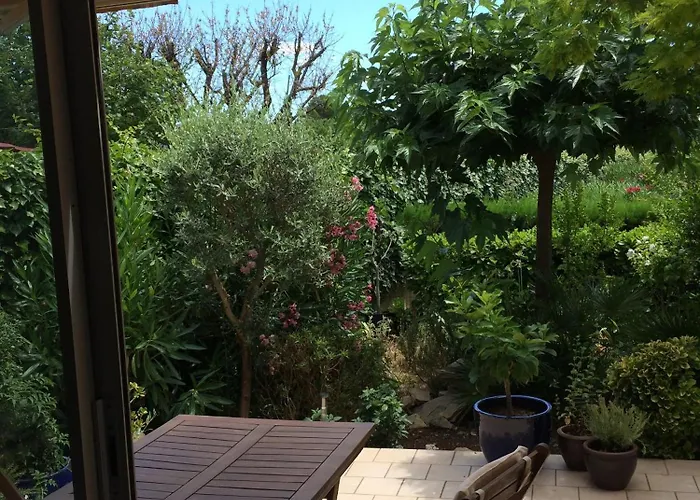 L'oasis In Meze, 메제